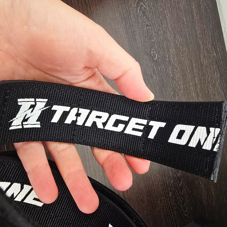 T1 Inner Belt